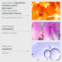 Load image into Gallery viewer, Phyto nature oxygen cream